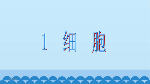 青岛版(六三制)六年级上册科学-1.1.细胞课件