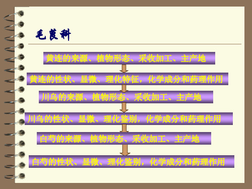 药用植物学与生药学：毛茛科