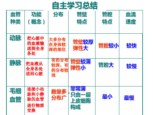 物质运输的器官-心脏