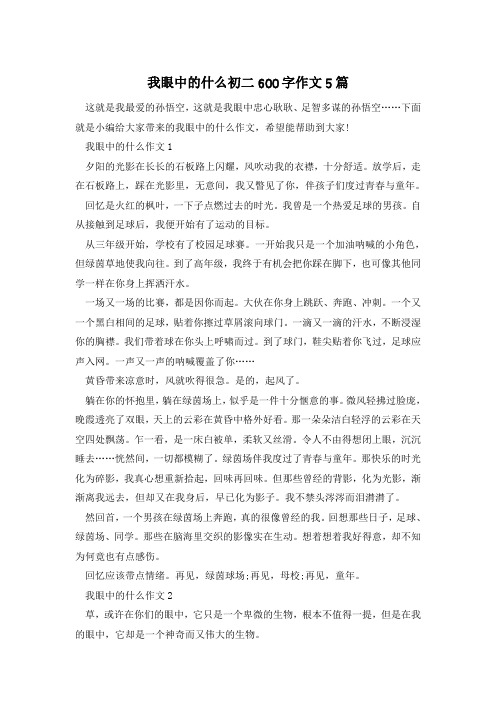 我眼中的什么初二600字作文5篇