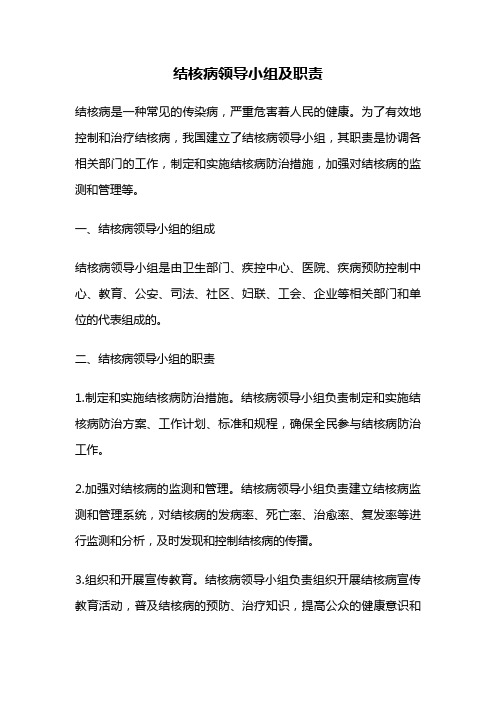 结核病领导小组及职责