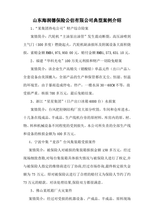 山东海润德保险公估有限公司典型案例介绍