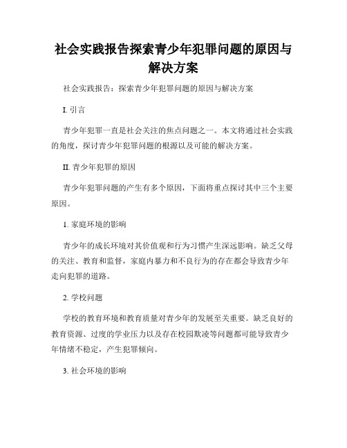 社会实践报告探索青少年犯罪问题的原因与解决方案