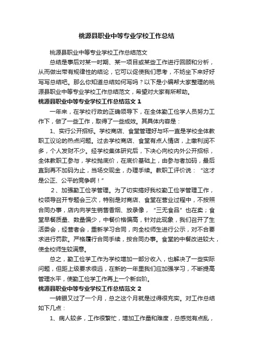 桃源县职业中等专业学校工作总结范文