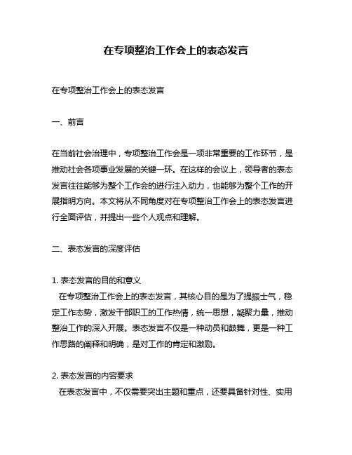 在专项整治工作会上的表态发言