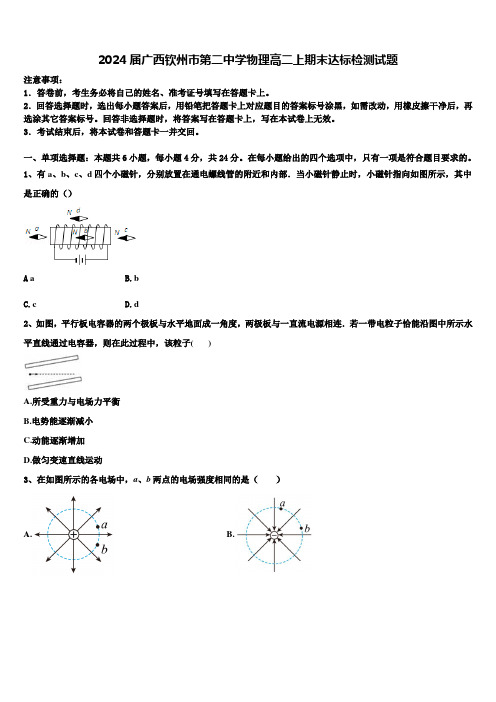 2024届广西钦州市第二中学物理高二上期末达标检测试题含解析