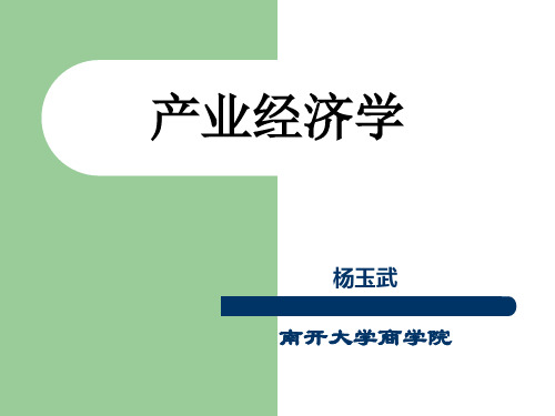 产业经济学 南开大学商学院课件