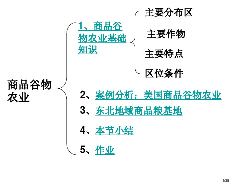 商品谷物农业公开课省公开课一等奖全国示范课微课金奖PPT课件