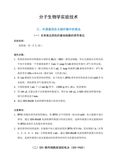 分子生物学实验技术-3-外源基因在大肠杆菌中的表达