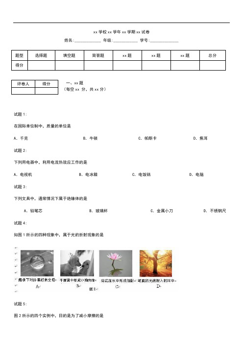 初中物理   北京市大兴区中考模拟物理一模考试题及答案 .docx