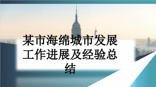 某市海绵城市发展工作进展及经验总结