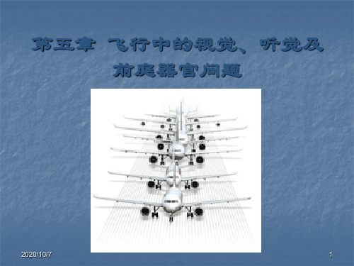 飞行中人的因素 第五章 飞行中的视觉、听觉及前庭觉问题