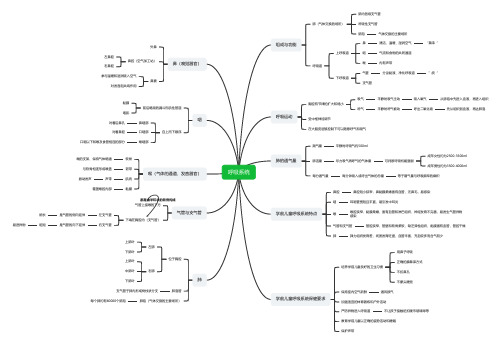 学前卫生学 呼吸系统思维导图