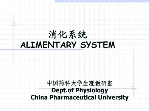 消化系统digestive system