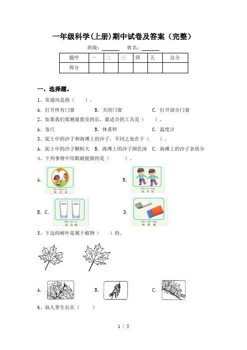 一年级科学(上册)期中试卷及答案(完整)