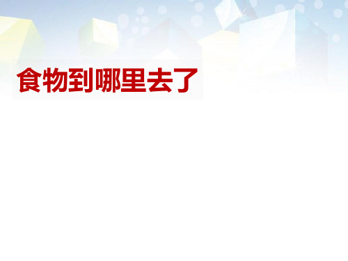 《食物到哪里去了》PPT 图文