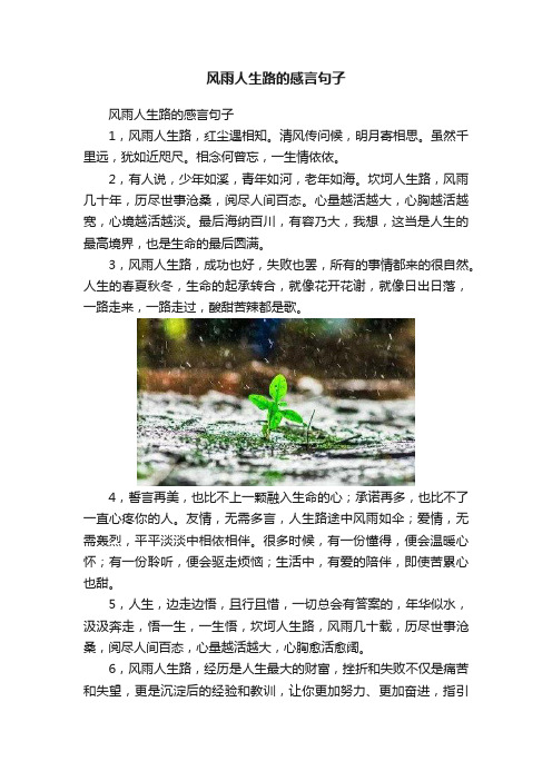 风雨人生路的感言句子