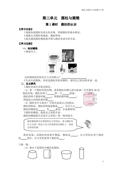 人教版六年级数学下册导学案第1课时  圆柱的认识