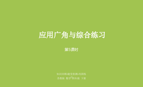 部编苏教版数学四年级下册优质课件 第九单元 应用广角与综合练习 课时5