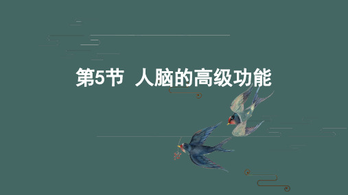 人脑的高级功能高二生物优质课件(人教版2019选择性必修1)