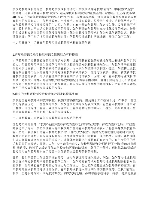 让专业成长规划成为促进教师专业成长的内驱力