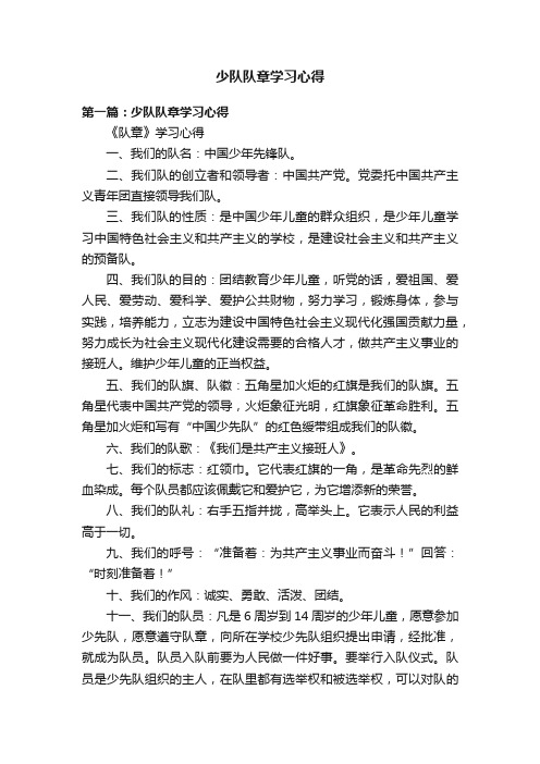 少队队章学习心得