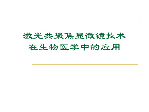 激光共聚焦显微镜技术——免疫学荧光实验课件PPT