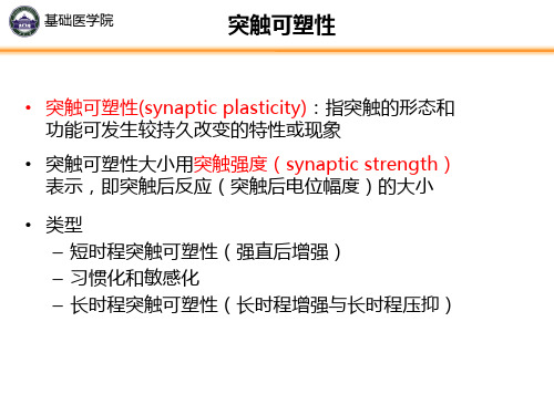 生命活动的奥秘—人体生理学精要(2020年秋季选修课)01-突触可塑性-课件_66