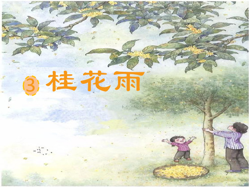 3.《桂花雨》课件(共21张PPT)