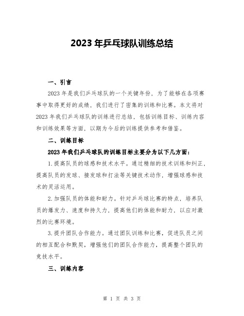 2023年乒乓球队训练总结