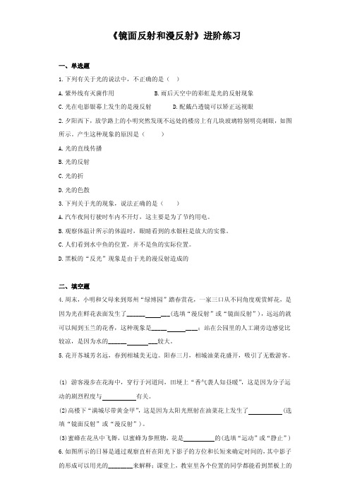 《镜面反射和漫反射》进阶练习（一）