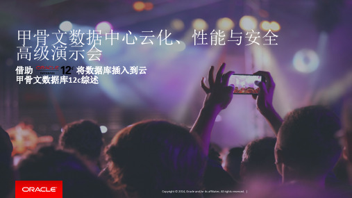 甲骨文数据库12c综述