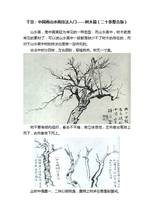 干货：中国画山水画技法入门——树木篇（二十条整合版）