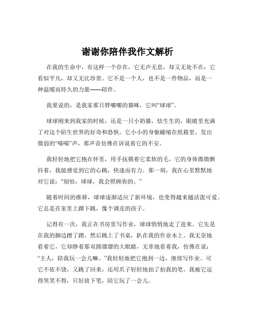 谢谢你陪伴我作文解析