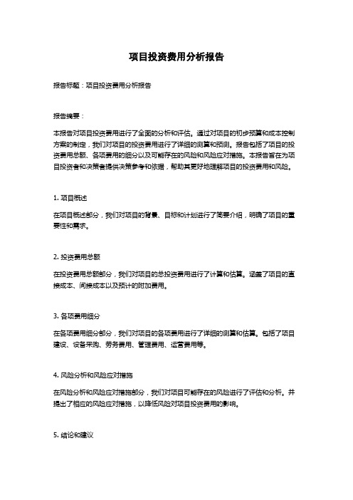 项目投资费用分析报告