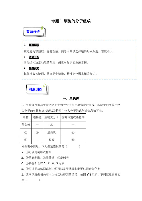 人教版2024年高考一轮复习生物《专题01 细胞的分子组成》