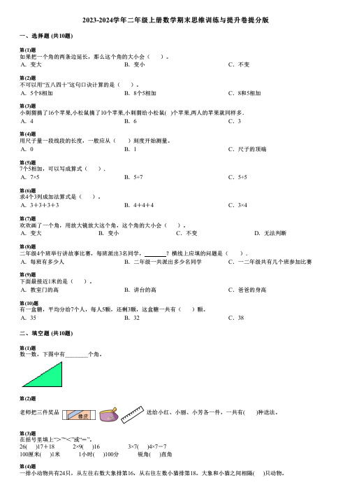 2023-2024学年二年级上册数学期末思维训练与提升卷提分版