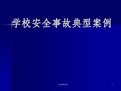 学校安全事故典型案例ppt课件