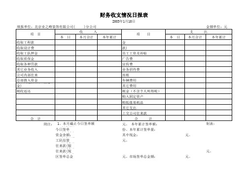 财务收支日报表范表