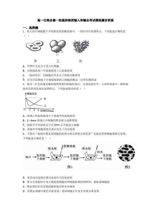 高一生物必修一细胞的物质输入和输出考试模拟题含答案