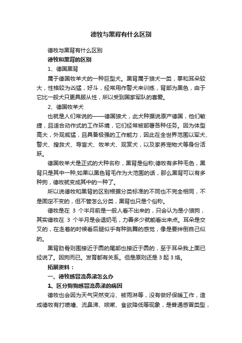 德牧与黑背有什么区别