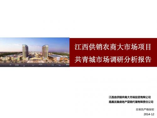 201412共青城市调报告.ppt .ppt5