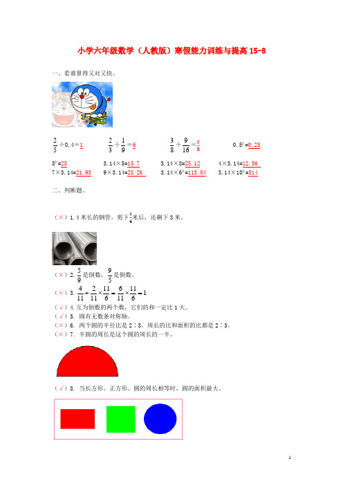 六年级数学寒假能力训练与提高158 人教版