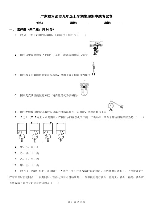 广东省河源市九年级上学期物理期中统考试卷