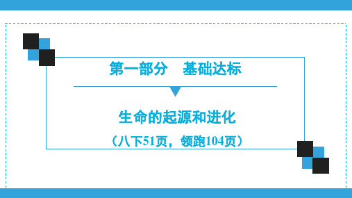 2020年初中生物一轮复习：生命的起源和进化  课件(61张PPT)