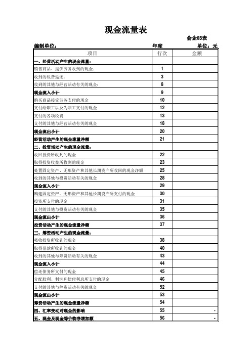 现金流量表空白模板