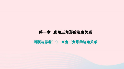 九下第一章直角三角形的边角关系回顾与思考一作业新版北师大版