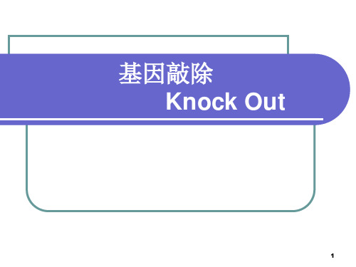 cre_loxp基因敲除系统解读ppt课件