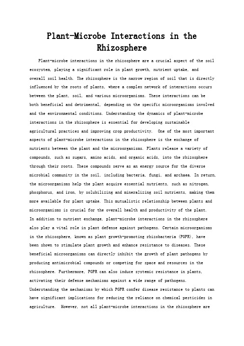 Plant-Microbe Interactions in the Rhizosphere