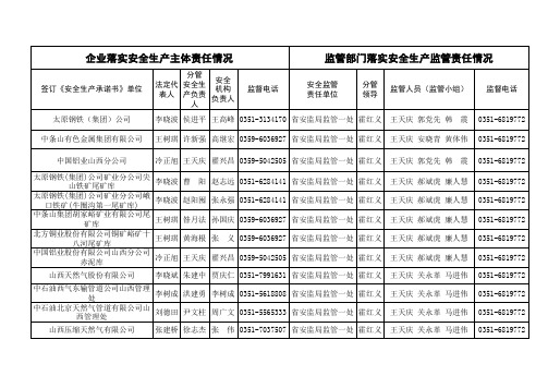 2011两个主体责任公示